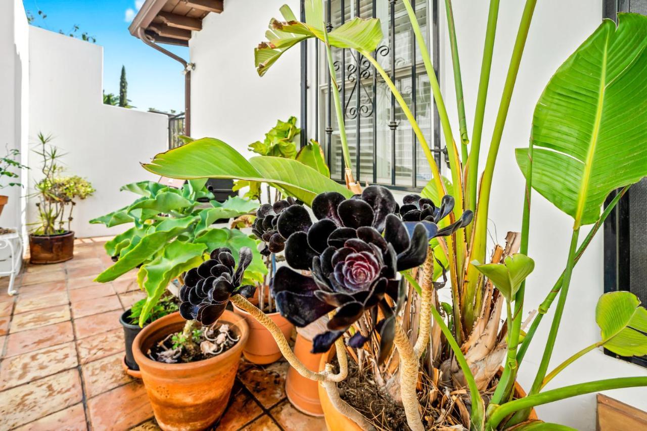 Hollywood Hills Homestay Los Angeles Kültér fotó